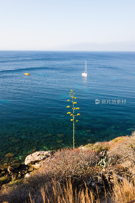 Favignana, Aegadian群岛，意大利西西里岛